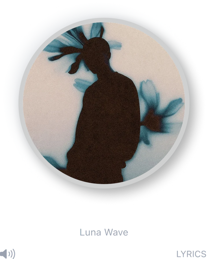 Midnight Dreams 歌曲封面信息
